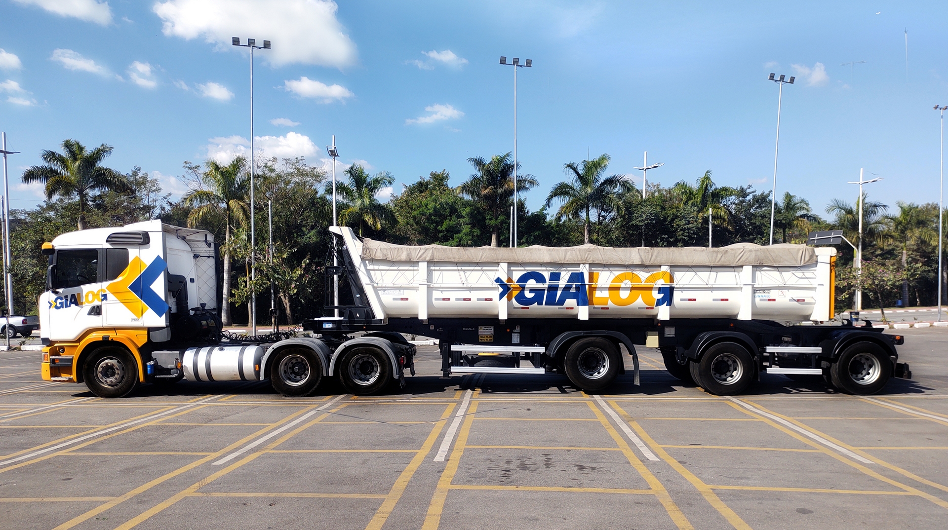 Vanderleia Basculante